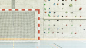 Bewegungs- und Sportunterricht (BSU)